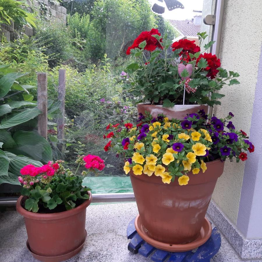 Apartment Au Oberperfuss